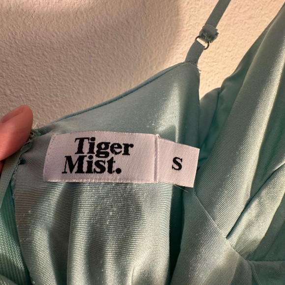 Tiger Mist Mint Blue Ruched Dress - Picture 3 of 4